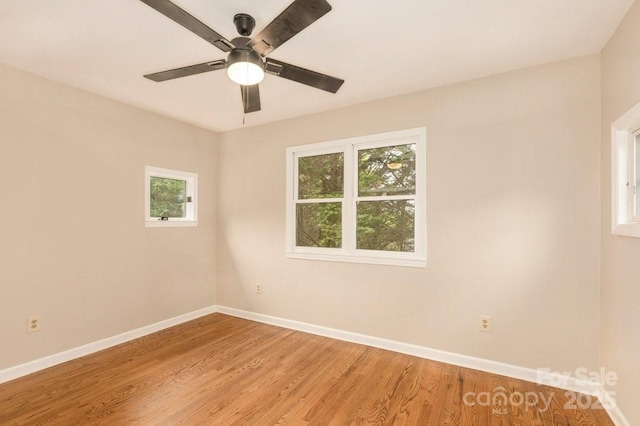 74 Eastmoor Dr, Asheville, NC 28805 - empty room featuring light wood-type flooring, ceiling fan, and baseboards
