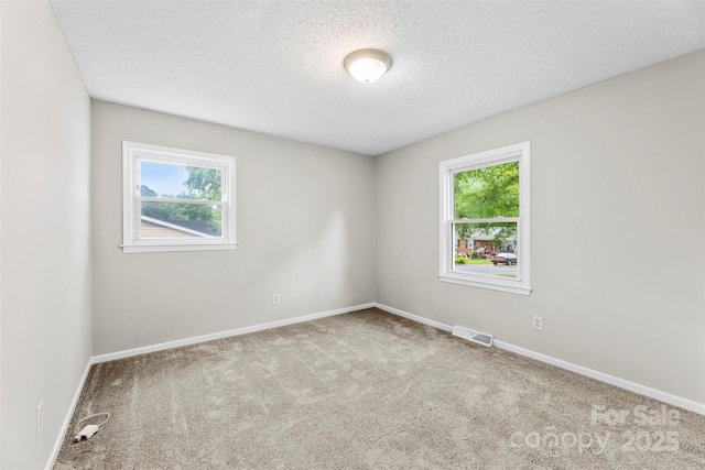 1606 Northwoods Dr, Kings Mountain, NC 28086 - empty room featuring plenty of natural light, carpet floors, a textured ceiling, and baseboards