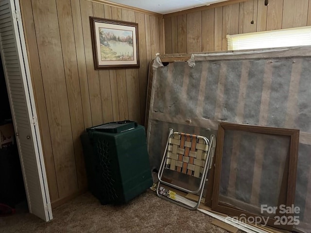 239 Laurel Dr, Whittier, NC 28789 - detailed view of carpet flooring and wooden walls