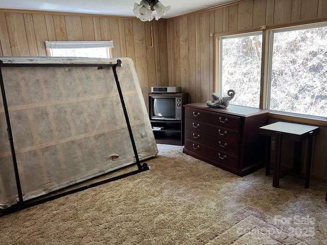 239 Laurel Dr, Whittier, NC 28789 - carpeted bedroom with wooden walls