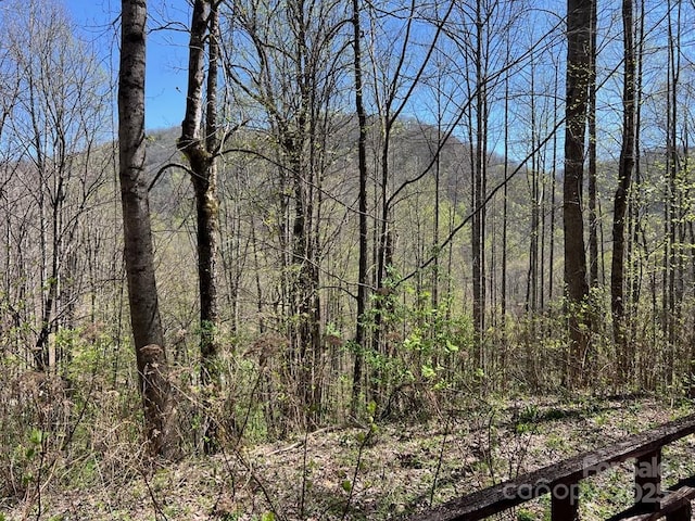 239 Laurel Dr, Whittier, NC 28789 - view of woods