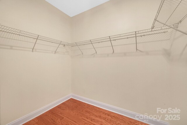 1006 Phar Lap Dr, Indian Trail, NC 28079 - spacious closet featuring wood finished floors