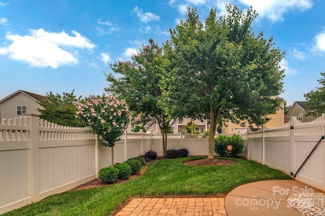 1006 Phar Lap Dr, Indian Trail, NC 28079 - view of yard