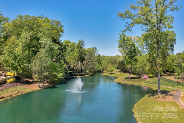 8100 Skye Knoll Dr Unit 144, Waxhaw, NC 28173