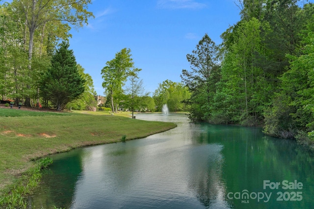8100 Skye Knoll Dr Unit 144, Waxhaw, NC 28173