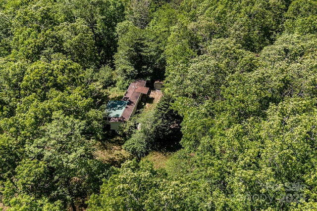 501 Deer Chase Cir, Cedar Mountain, NC 28718 - view of subject property featuring a forest