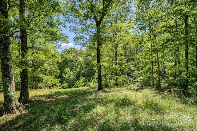 501 Deer Chase Cir, Cedar Mountain, NC 28718 - view of woods