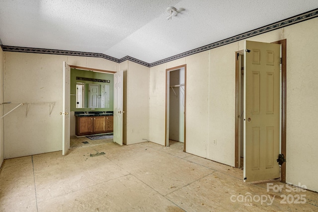 501 Deer Chase Cir, Cedar Mountain, NC 28718 - unfurnished bedroom featuring lofted ceiling, a textured ceiling, connected bathroom, and a closet