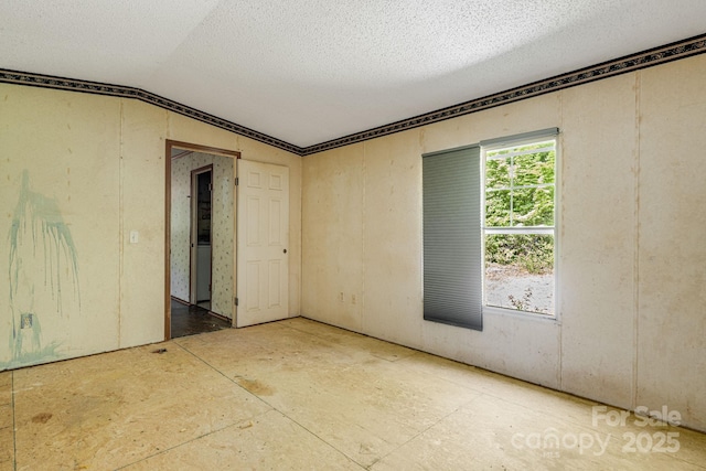 501 Deer Chase Cir, Cedar Mountain, NC 28718 - empty room with lofted ceiling and a textured ceiling