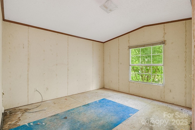 501 Deer Chase Cir, Cedar Mountain, NC 28718 - spare room featuring lofted ceiling and a textured ceiling