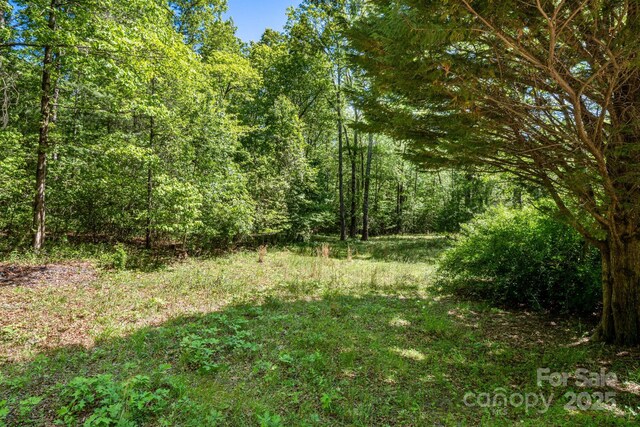 501 Deer Chase Cir, Cedar Mountain, NC 28718 - view of wooded area