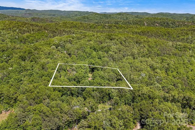 501 Deer Chase Cir, Cedar Mountain, NC 28718 - view of property location with a forest, property parcel outlined, and a mountainous background