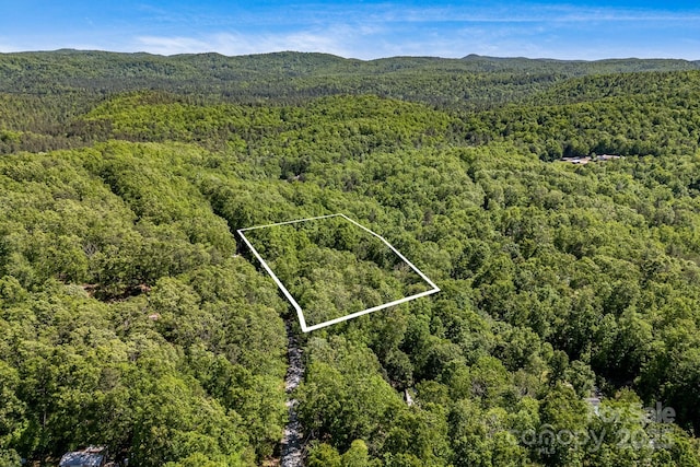 501 Deer Chase Cir, Cedar Mountain, NC 28718 - view of property location featuring a forest and property parcel outlined