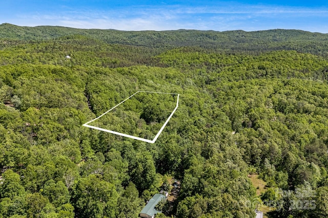 501 Deer Chase Cir, Cedar Mountain, NC 28718 - view of property location with a forest, property boundaries highlighted, and mountains