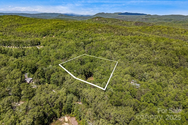 501 Deer Chase Cir, Cedar Mountain, NC 28718 - aerial view of property's location with a heavily wooded area, property boundaries highlighted, and a mountain backdrop