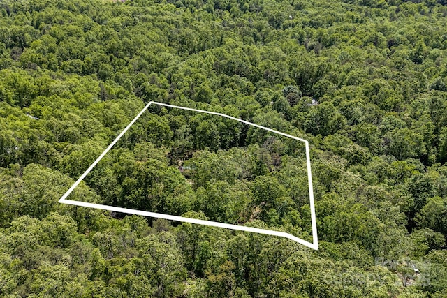 501 Deer Chase Cir, Cedar Mountain, NC 28718 - aerial view of property's location with a forest and property parcel outlined