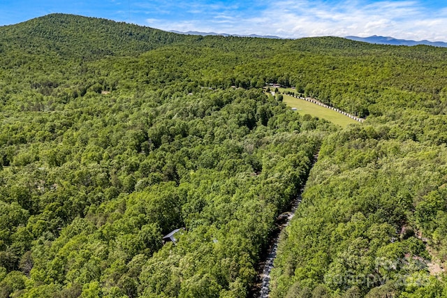 501 Deer Chase Cir, Cedar Mountain, NC 28718 - bird's eye view of a heavily wooded area and a mountainous background