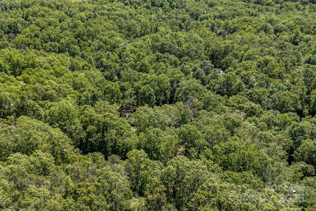 501 Deer Chase Cir, Cedar Mountain, NC 28718 - drone / aerial view of a forest