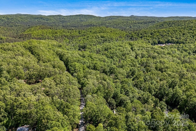 501 Deer Chase Cir, Cedar Mountain, NC 28718 - view of property location featuring a heavily wooded area and a mountainous background