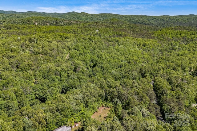 501 Deer Chase Cir, Cedar Mountain, NC 28718 - aerial view of a forest and mountains