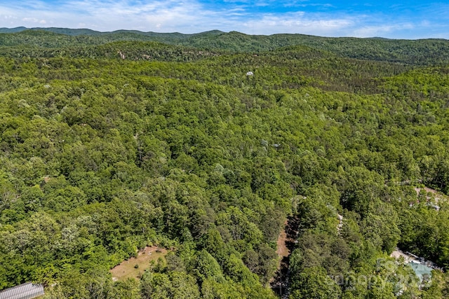 501 Deer Chase Cir, Cedar Mountain, NC 28718 - aerial view of a heavily wooded area and a mountain backdrop