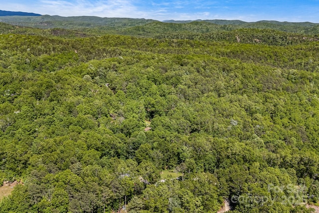 501 Deer Chase Cir, Cedar Mountain, NC 28718 - bird's eye view of a heavily wooded area and a mountainous background