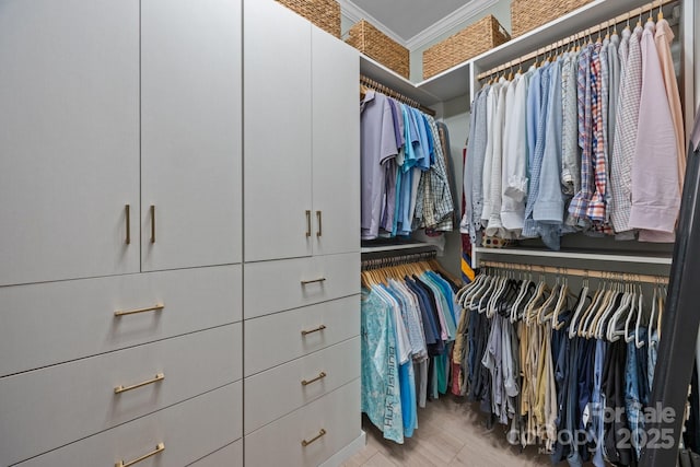 630 Calvert St Unit 111, Charlotte, NC 28208 - view of walk in closet