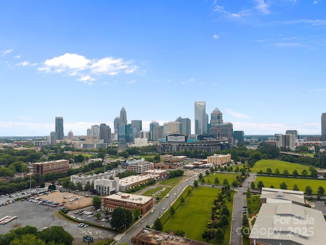 630 Calvert St Unit 111, Charlotte, NC 28208 - skyline view