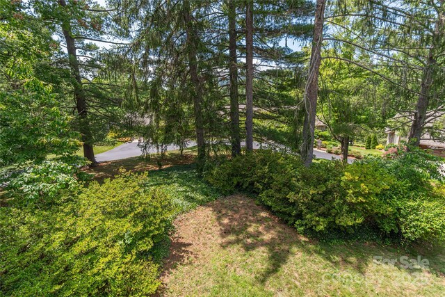 1101 Timber Trl, Asheville, NC 28804 - photo 8
