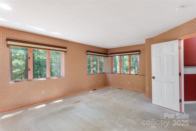 1101 Timber Trl, Asheville, NC 28804 - photo 22