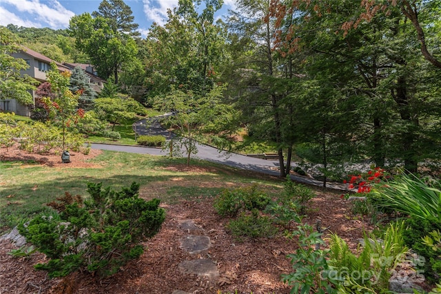 1101 Timber Trl, Asheville, NC 28804 - photo 30