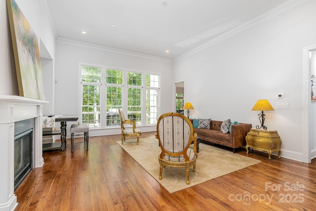 10874 Rise Ln, Fort Mill, SC 29707 - living area with crown molding, wood finished floors, a premium fireplace, recessed lighting, and baseboards
