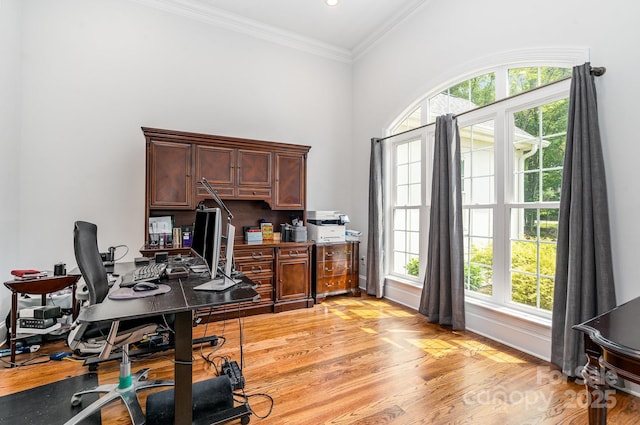 10874 Rise Ln, Fort Mill, SC 29707 - office with light wood-style flooring, plenty of natural light, ornamental molding, and baseboards