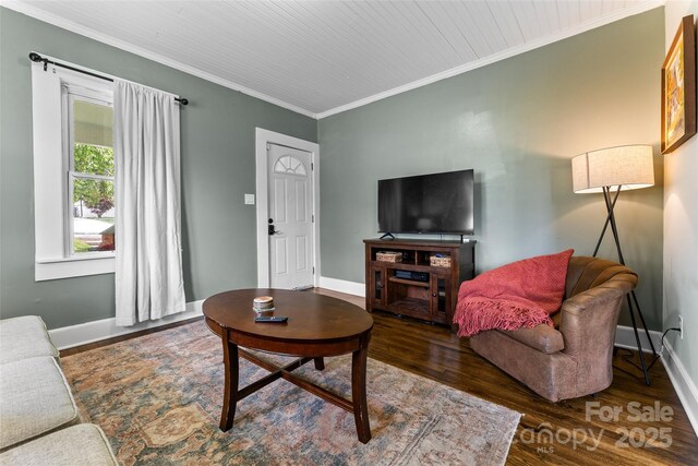 115 Mcminn Ave, Brevard, NC 28712 - photo 10