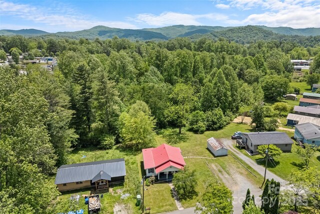 115 Mcminn Ave, Brevard, NC 28712 - photo 38