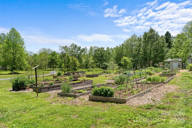 115 Mcminn Ave, Brevard, NC 28712 - photo 42