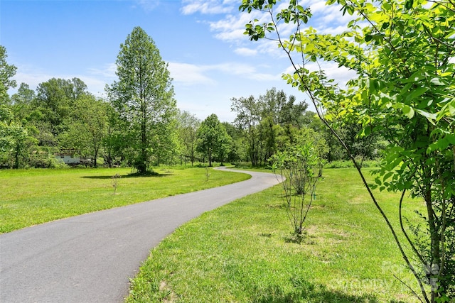 115 Mcminn Ave, Brevard, NC 28712 - photo 43