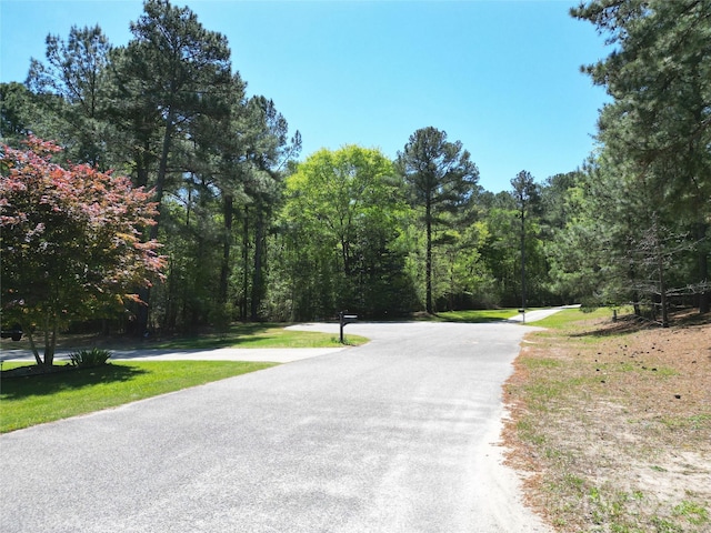 TBD Queens Cove Way, Carthage, NC 28327 - photo 4