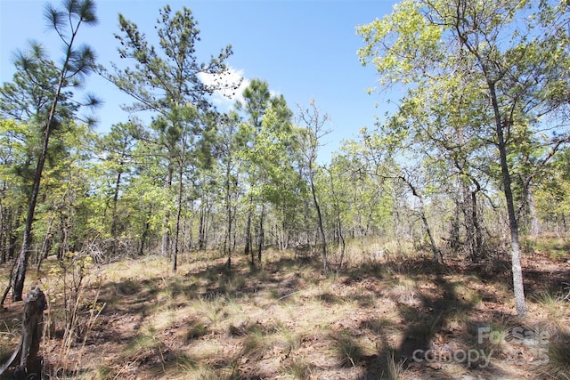 TBD Queens Cove Way, Carthage, NC 28327 - photo 17