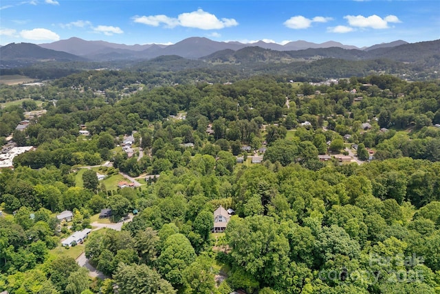 147 Preservation Way, Waynesville, NC 28786 - bird's eye view of a forest and a mountainous background