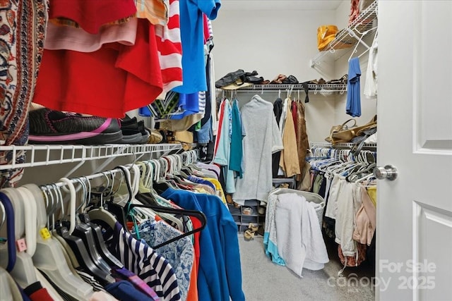 620 River Birch Dr, Salisbury, NC 28146 - spacious closet featuring carpet