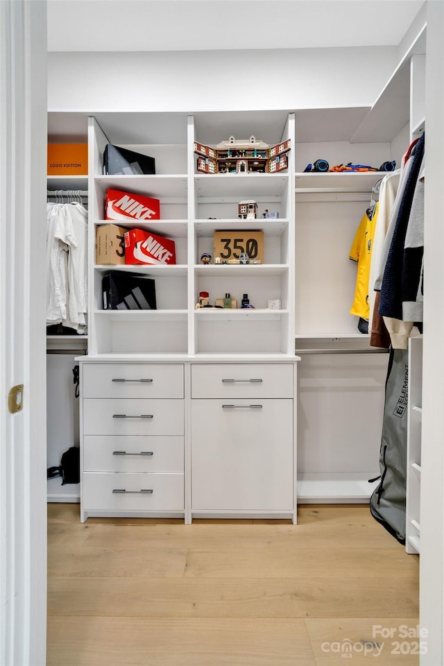 38 Thistle Ln, Fletcher, NC 28732 - view of closet