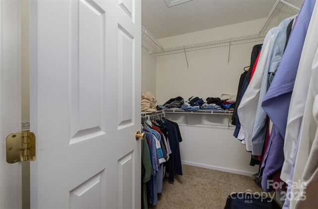 159 Pitts School Rd NW, Concord, NC 28027 - spacious closet featuring carpet