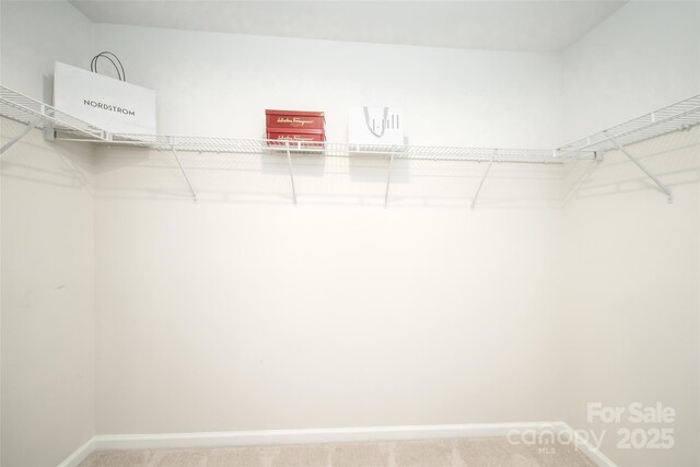 150 W Morehouse Ave, Mooresville, NC 28117 - walk in closet with carpet