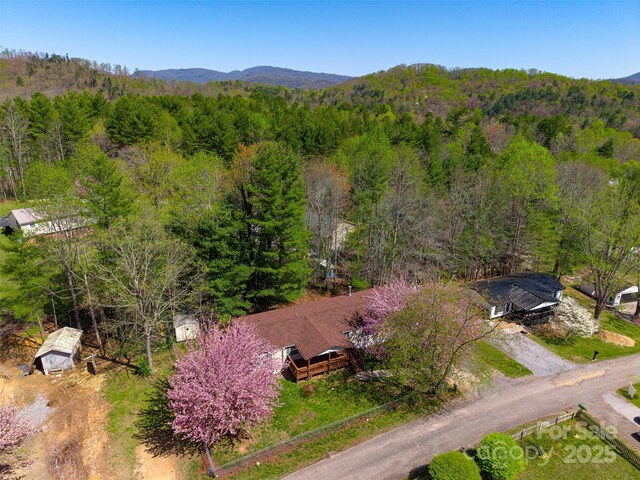 5 Concord Knoll Ln, Asheville, NC 28803 - photo 38