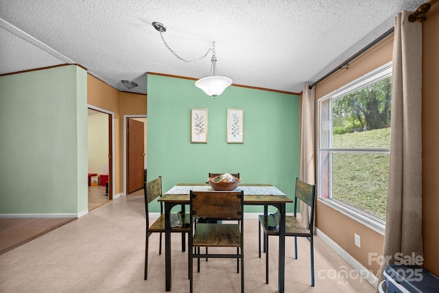 112 Cordella Rd, Candler, NC 28715 - dining area with a textured ceiling, ornamental molding, baseboards, and light flooring