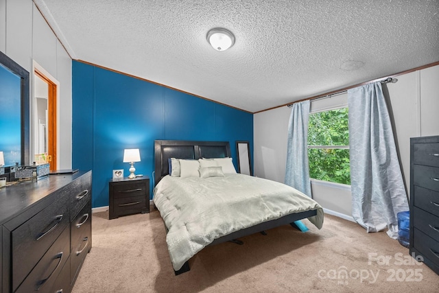 112 Cordella Rd, Candler, NC 28715 - bedroom featuring vaulted ceiling, light colored carpet, ornamental molding, a textured ceiling, and baseboards