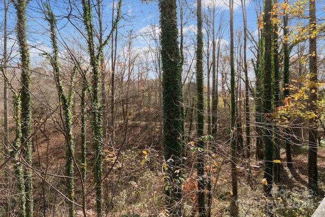 112 Cordella Rd, Candler, NC 28715 - view of nature