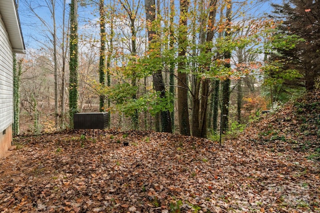 112 Cordella Rd, Candler, NC 28715 - view of nature