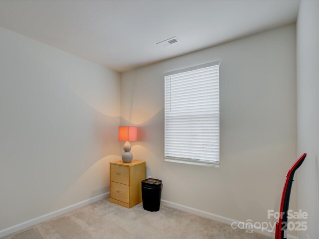 954 Taybyn Rd, Fort Mill, SC 29715 - photo 29